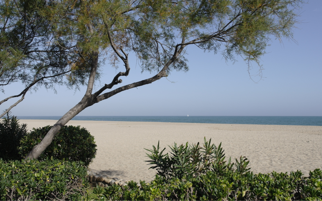 Déménager à Argeles Sur Mer